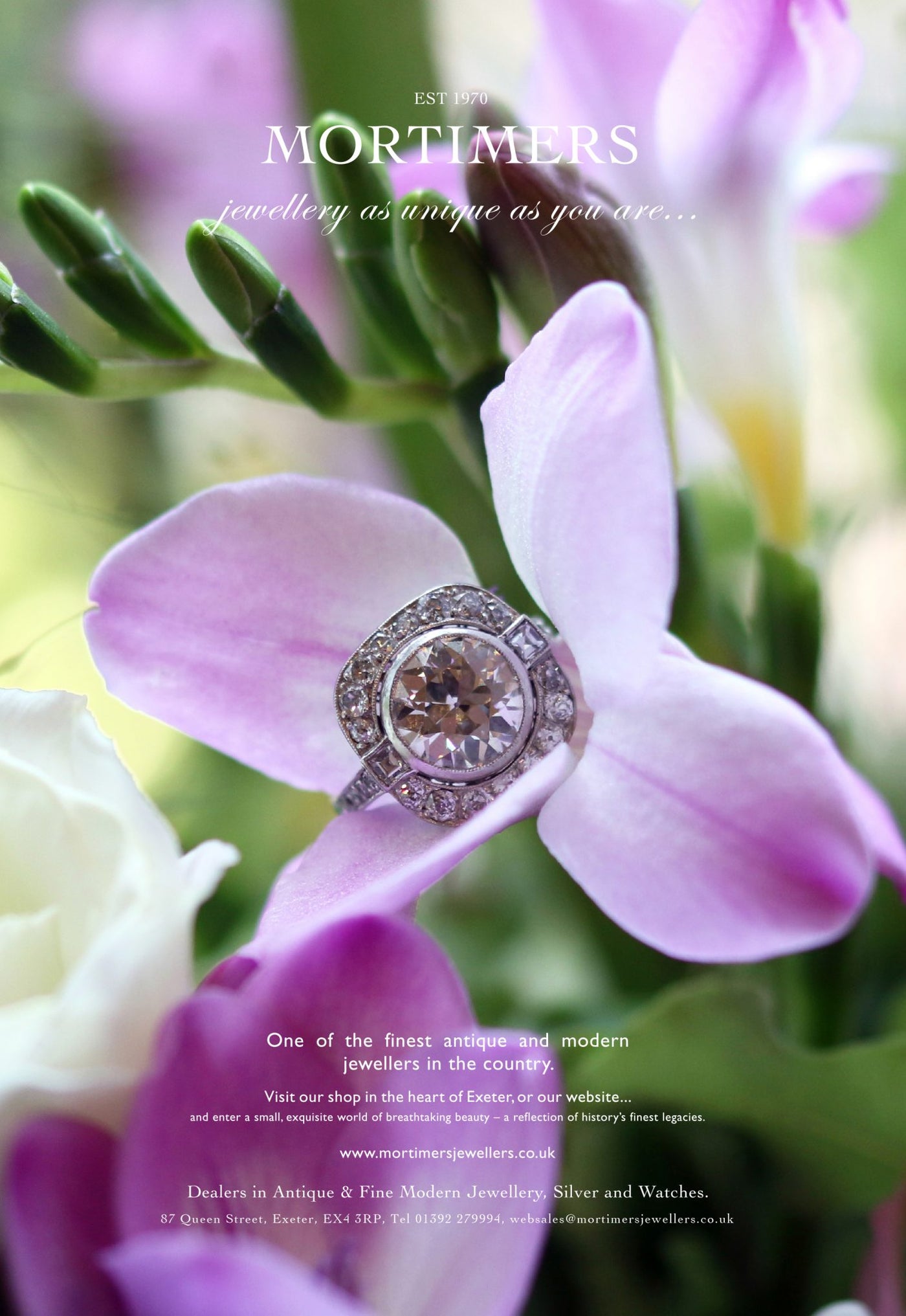 Latest Advert – Platinum Diamond Target Dress Ring