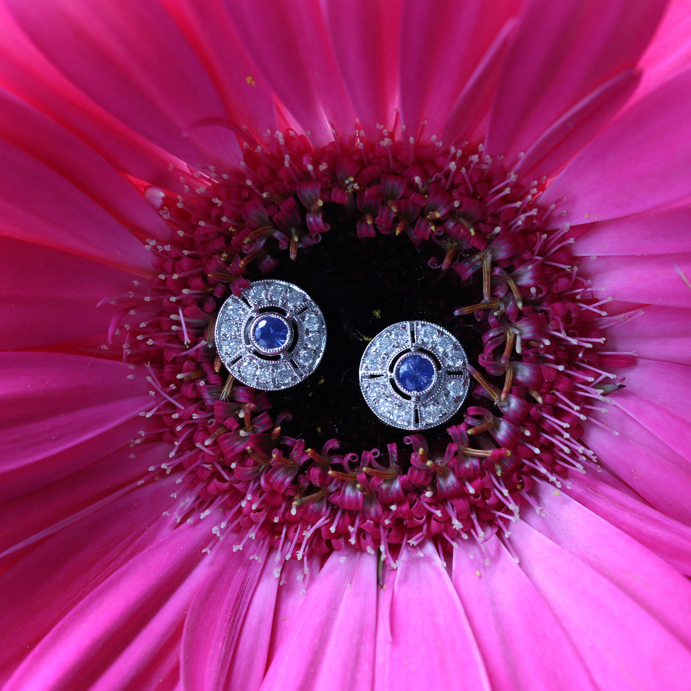 Latest Advert - 18ct White Gold Diamond and Sapphire Target Stud Earrings