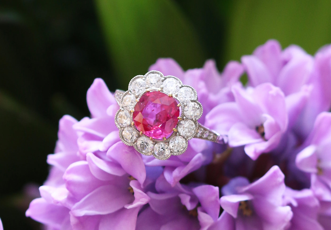 Latest Advert - Platinum and 18ct Yellow Gold Diamond and Pink Sapphire Dress Ring