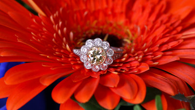 Latest Advert - Platinum Diamond and Fancy Yellow Diamond Flower Cluster Ring with Diamond Shoulders