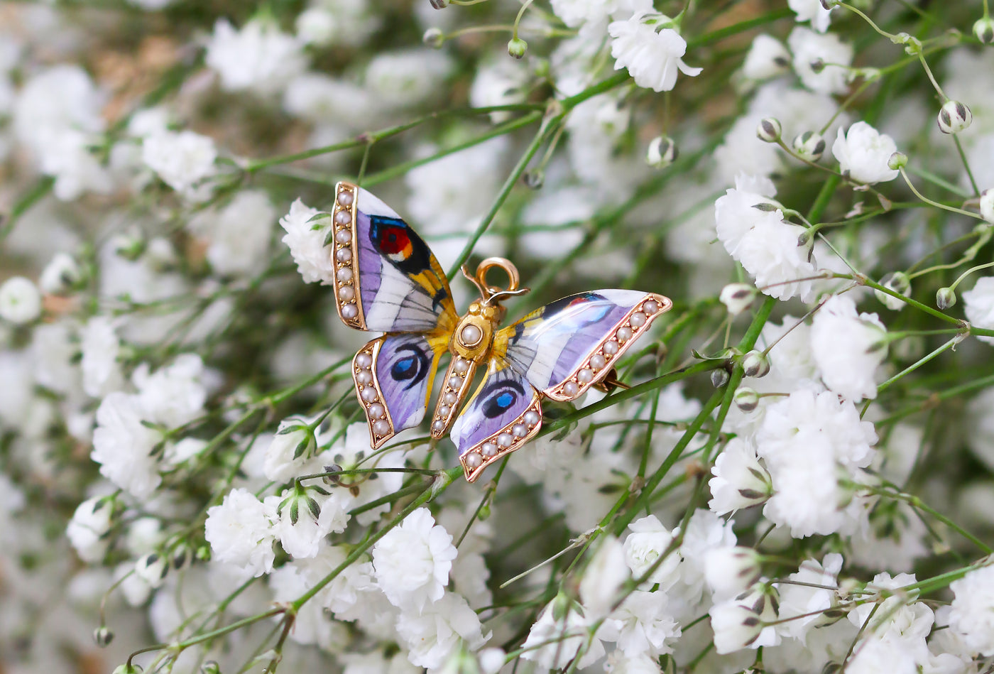 Latest Advert - Edwardian 18ct Yellow Gold Enamel and Seed Pearl Butterfly Brooch and Pendant