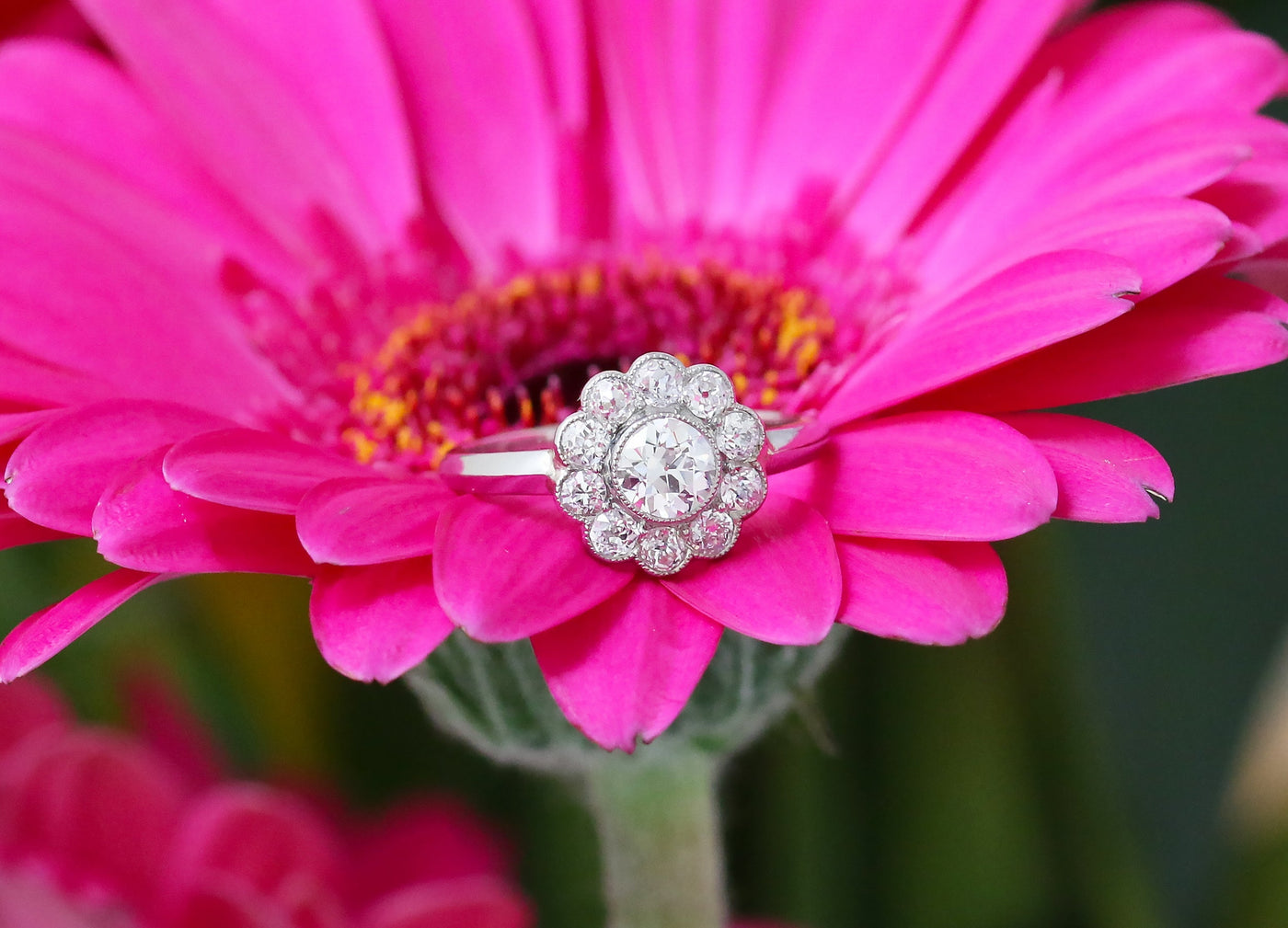 Latest Advert - Art Deco 18ct White Gold Diamond Cluster Ring