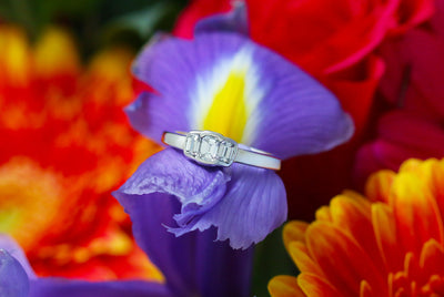 Latest Advert - 18ct White Gold Diamond Three Stone Ring