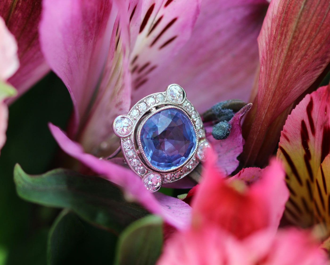 Latest Advert - 18 ct White Gold Cornflower Sapphire and Diamond Ring